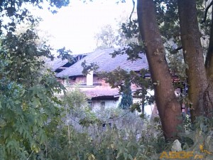 Alter Hof