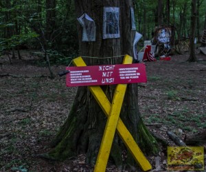 Hambacher Forst gegen Tagebau