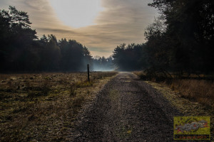 Etwas längerer Spaziergang