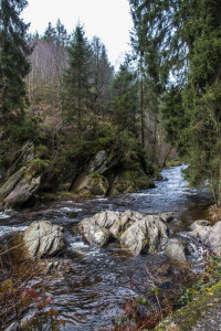 Wanderung an der Rur zum Gipfelkreuz Ehrensteinley