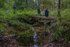 Entdeckungstour mit den Kids