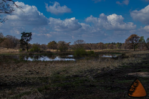 Fotowanderung im Nationalpark De Meinweg