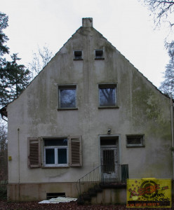 Das Buntehaus im Wald